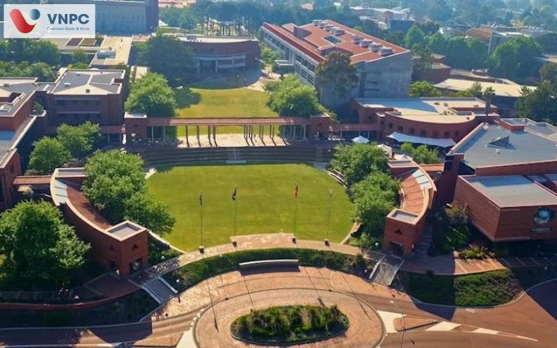 Trường Curtin College - Bước đệm lý tưởng vào Đại học Curtin Úc